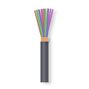 CAB-P10PR 10 pair polythene cable CW1128 1m